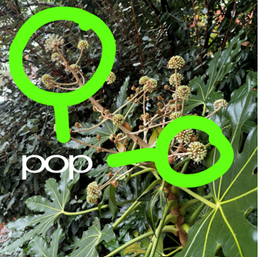 skaiwater makes highly anticipated return with ‘pop’